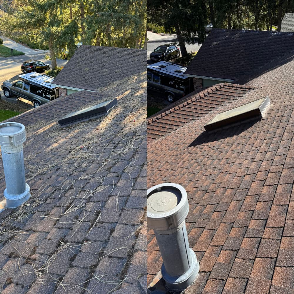 Before and after roof cleaning showing debris removal and restored shingles.