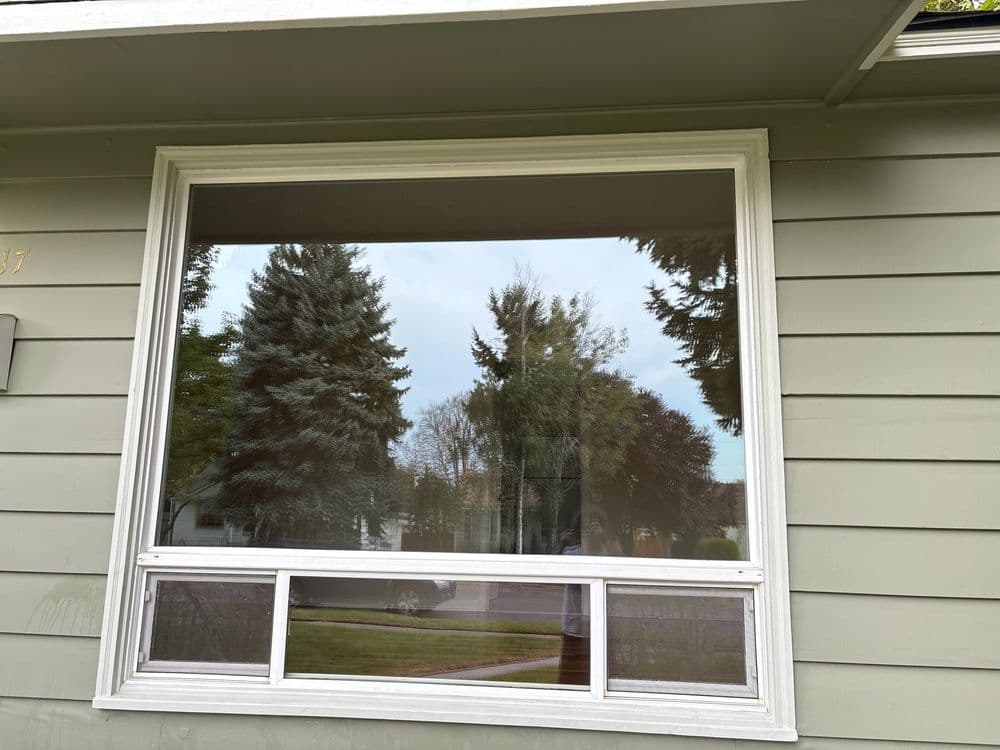 Large residential window reflecting trees, set in a green house exterior.