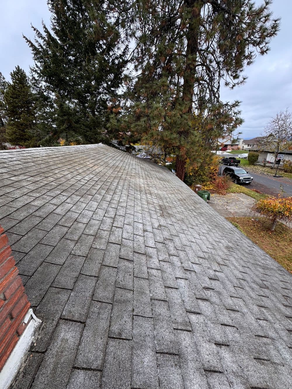 View of a sloped asphalt shingle roof with trees and parked cars in the background.