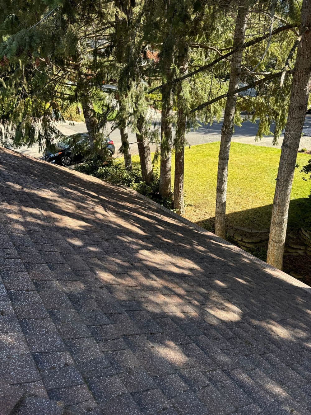 Roof perspective showing trees and grassy area, emphasizing landscaping and sunlight.