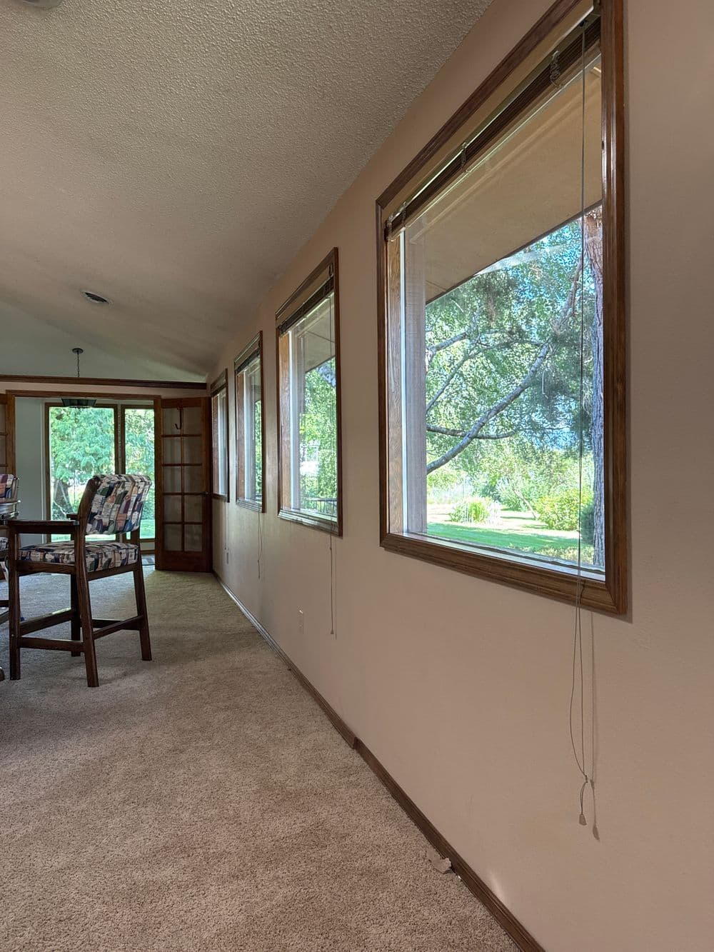 Cozy home interior with large windows, natural light, and plush carpet overlooking greenery.