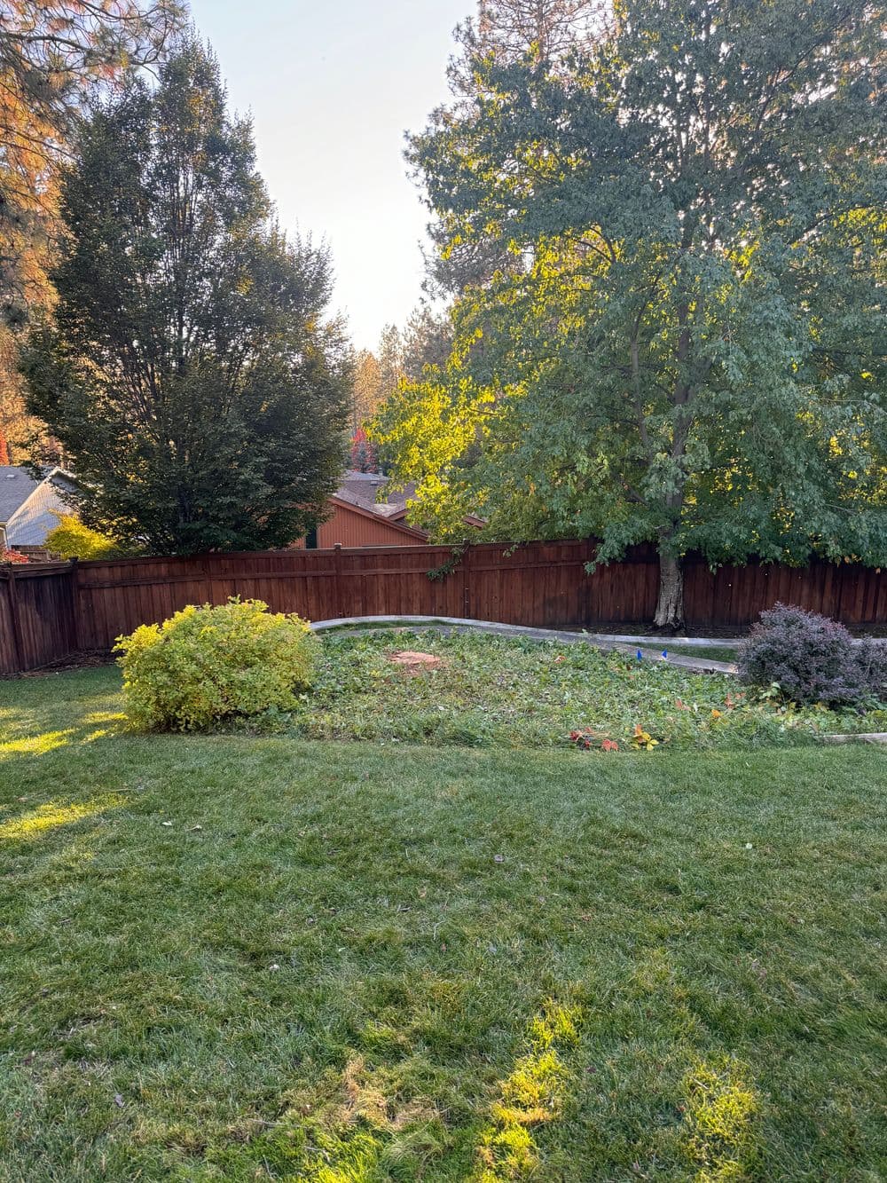 Lush green backyard with trees, garden, and wooden fence under clear sky.