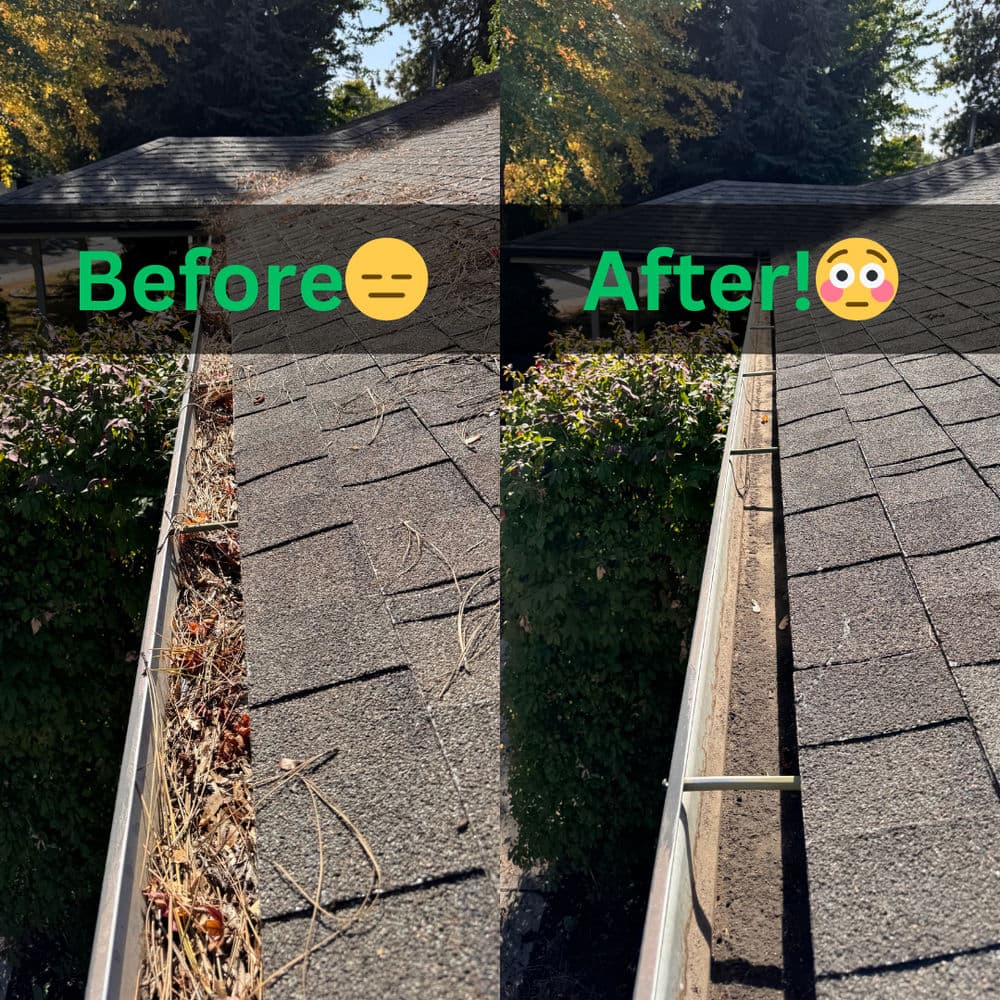 Gutter cleaning transformation: before with debris and after clear, showcasing effective service.