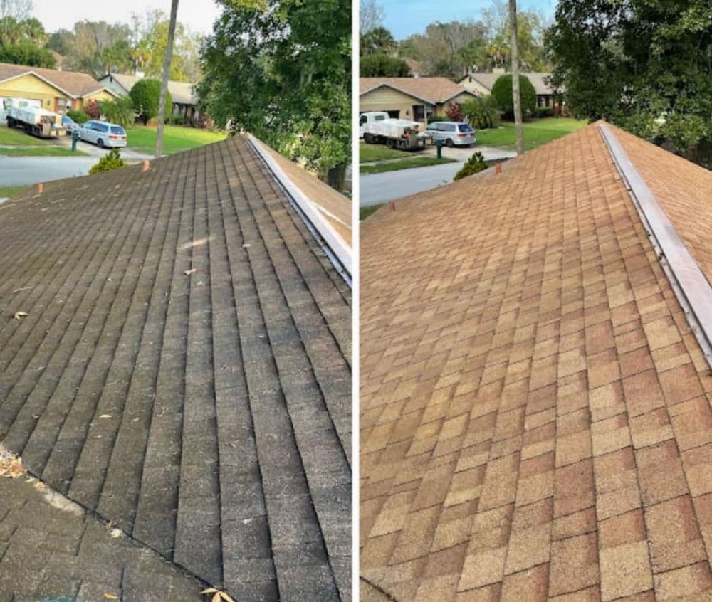 Before and after roof cleaning showing significant improvement in shingle appearance.