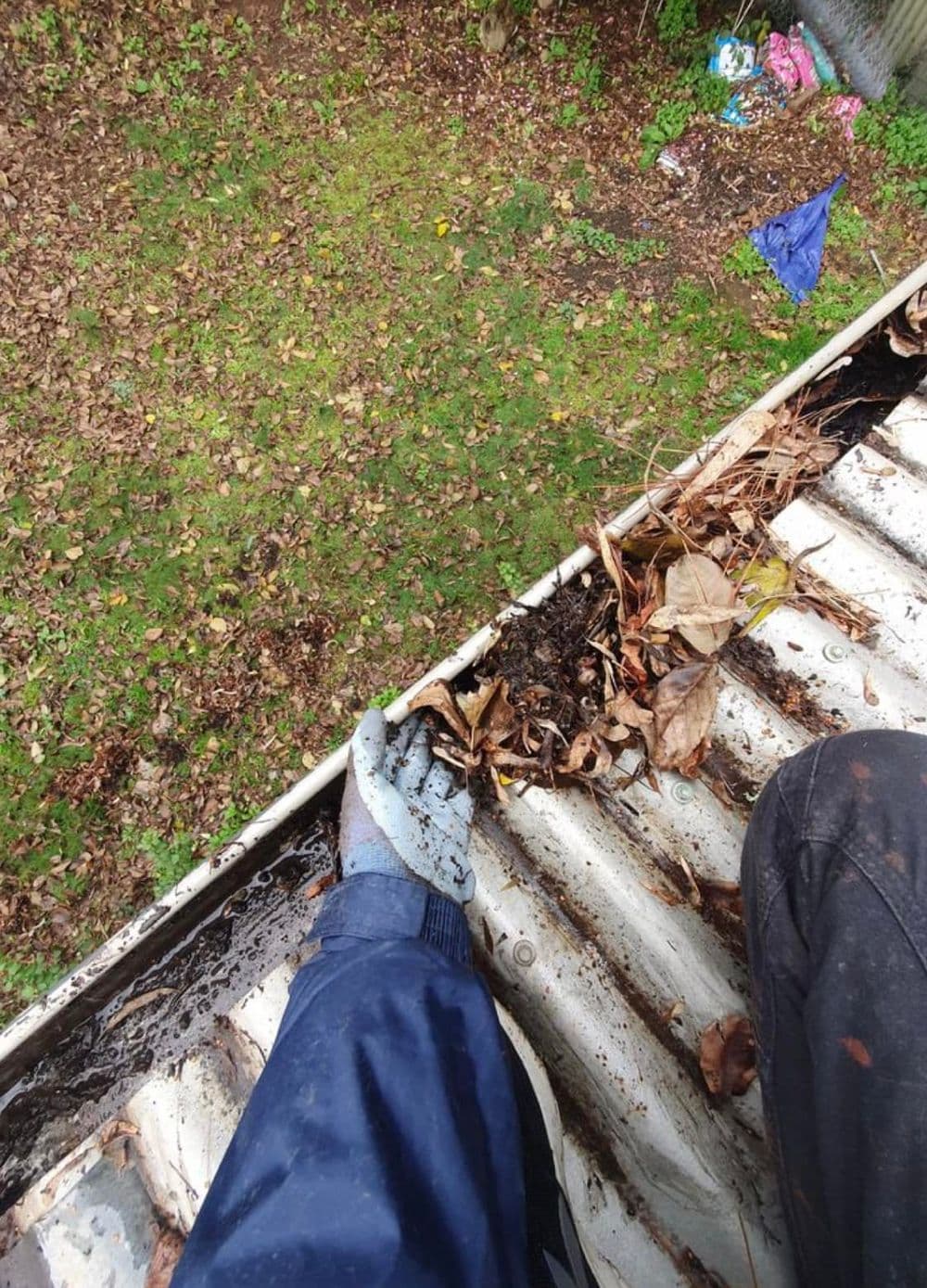 Person removing leaves from a rain gutter surrounded by fallen leaves and greenery.